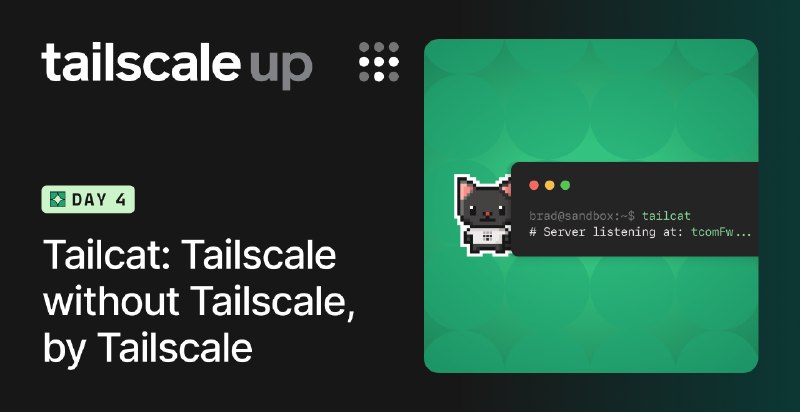 Tailcat: An open-source CLI for Tailscale’s WireGuard®, NAT traversal, and DERP